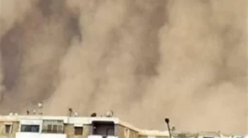 رياح الخماسين الربيعية.. أسباب التسمية وكيفية تجنب مخاطرها الصحية بطرق بسيطة